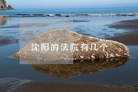 沈阳的法院有几个 沈阳的法院有几个