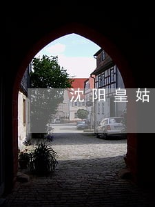 沈阳皇姑区代理债务律师