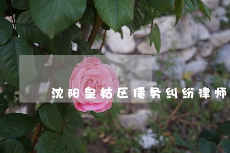 沈阳皇姑区债务纠纷律师费用 沈阳皇姑区债务纠纷律师费用