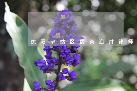 沈阳皇姑区债务追讨律师咨询电话 沈阳皇姑区债务追讨律师咨询电话