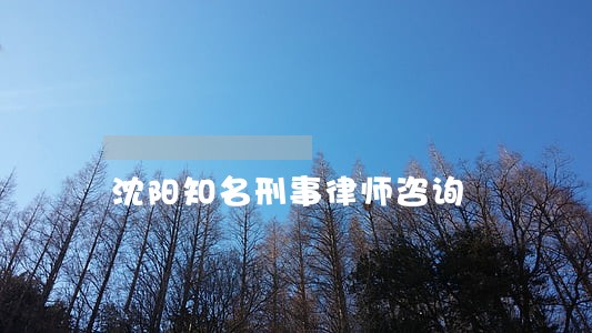 沈阳知名刑事律师咨询 沈阳知名刑事律师咨询