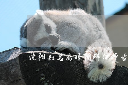 沈阳知名离婚调解律师咨询服务
