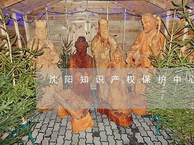 沈阳知识产权保护中心 沈阳知识产权保护中心