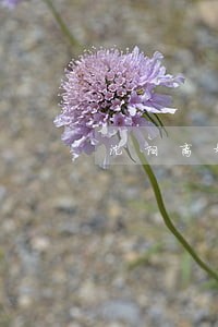 沈阳离婚债务律师咨询免费 沈阳离婚债务律师咨询免费