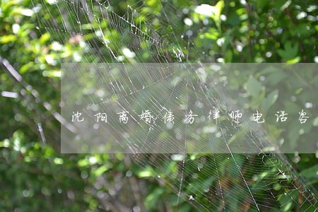 沈阳离婚债务律师电话咨询 沈阳离婚债务律师电话咨询