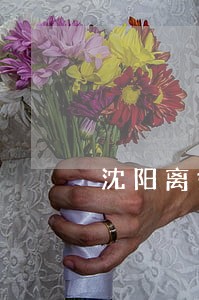 沈阳离婚协议书的范本 沈阳离婚协议书的范本