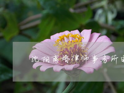 沈阳离婚律师事务所电话 沈阳离婚律师事务所电话