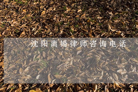 沈阳离婚律师咨询电话 沈阳离婚律师咨询电话