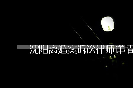 沈阳离婚案诉讼律师详情咨询 沈阳离婚案诉讼律师详情咨询