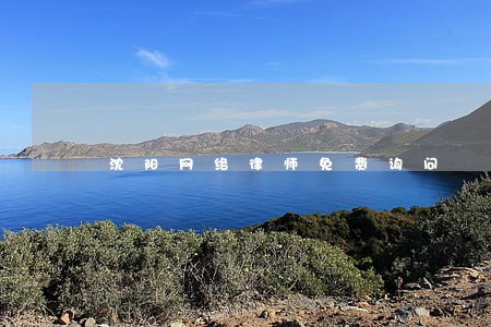 沈阳网络律师免费询问 沈阳网络律师免费询问