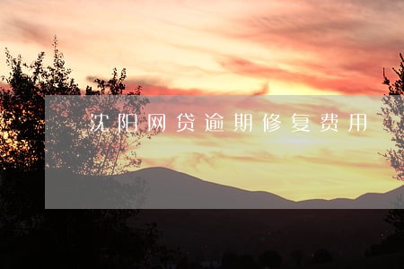 沈阳网贷逾期修复费用 沈阳网贷逾期修复费用