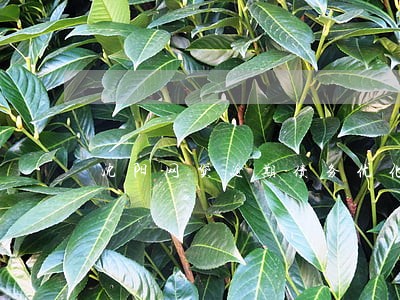 沈阳网贷逾期债务优化怎么收费 沈阳网贷逾期债务优化怎么收费