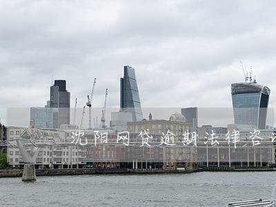沈阳网贷逾期法律咨询