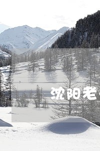沈阳老于自制房车违不违法 沈阳老于自制房车违不违法