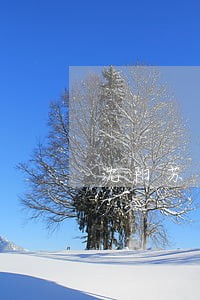 沈阳苏家屯劳动纠纷律师预约电话 沈阳苏家屯劳动纠纷律师预约电话