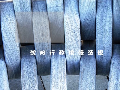 沈阳行政执法法规 沈阳行政执法法规
