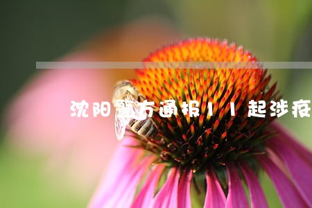 沈阳警方通报11起涉疫违法犯罪 沈阳警方通报11起涉疫违法犯罪