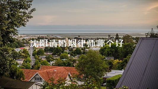 沈阳请婚姻律师哪个好 沈阳请婚姻律师哪个好