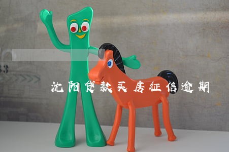 沈阳贷款买房征信逾期 沈阳贷款买房征信逾期
