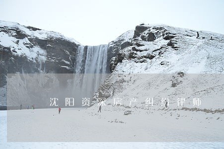 沈阳资深房产纠纷律师 沈阳资深房产纠纷律师