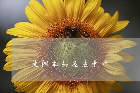 沈阳车辆违法申诉 沈阳车辆违法申诉