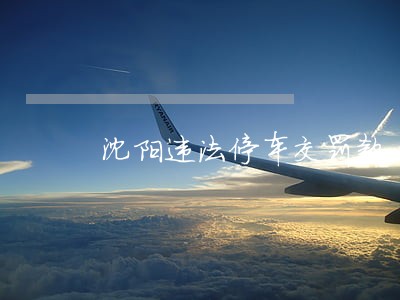 沈阳违法停车交罚款