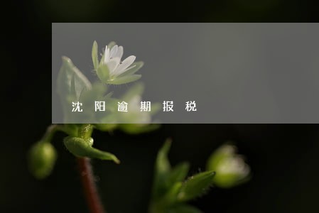沈阳逾期报税 沈阳逾期报税
