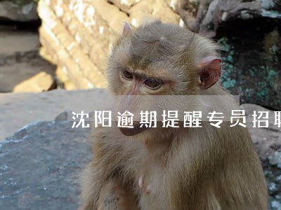 沈阳逾期提醒专员招聘 沈阳逾期提醒专员招聘