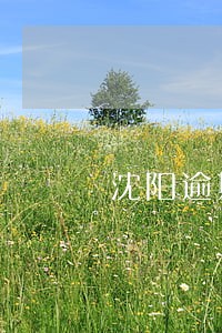 沈阳逾期能做车辆无抵押的公司 沈阳逾期能做车辆无抵押的公司