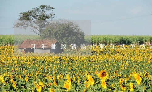 沈阳邮政储蓄律师在线免费咨询 沈阳邮政储蓄律师在线免费咨询