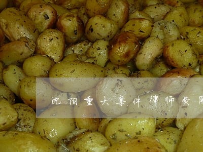 沈阳重大案件律师费用 沈阳重大案件律师费用