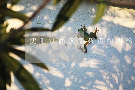 沈阳铁西区债务违约纠纷律师 沈阳铁西区债务违约纠纷律师