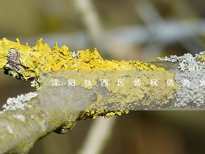 沈阳铁西区债权债务清理律师