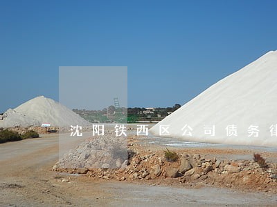 沈阳铁西区公司债务律师法律咨询 沈阳铁西区公司债务律师法律咨询