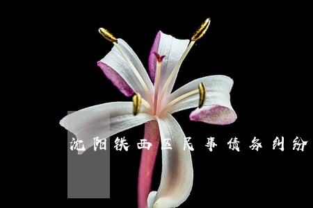 沈阳铁西区民事债务纠纷律师介绍 沈阳铁西区民事债务纠纷律师介绍