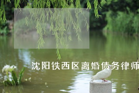 沈阳铁西区离婚债务律师哪个好 沈阳铁西区离婚债务律师哪个好