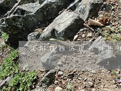 沈阳铁西法律咨询热线 沈阳铁西法律咨询热线