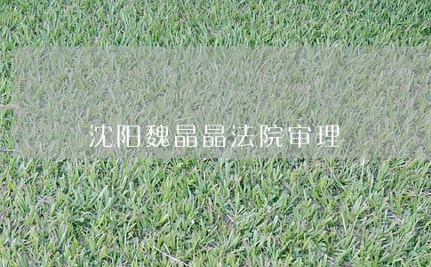 沈阳魏晶晶法院审理 沈阳魏晶晶法院审理
