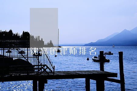 沈高镇律师排名 沈高镇律师排名