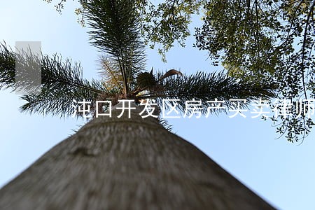 沌口开发区房产买卖律师 沌口开发区房产买卖律师