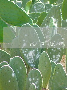 沌口法院电话 沌口法院电话
