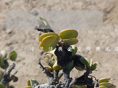 沌灵法典全文免费阅读 沌灵法典全文免费阅读