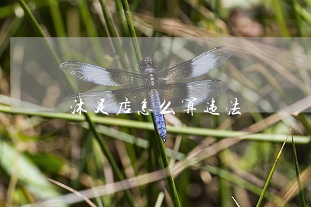 沐足店怎么算违法 沐足店怎么算违法