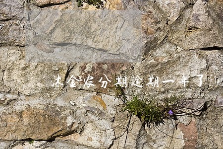 沐金农分期逾期一年了