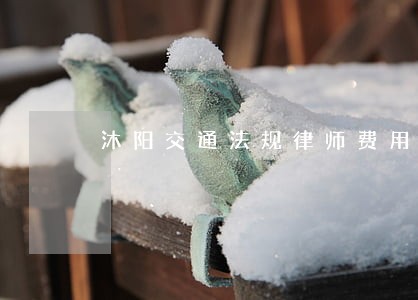 沐阳交通法规律师费用 沐阳交通法规律师费用