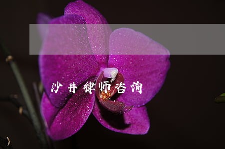 沙井律师咨询 沙井律师咨询