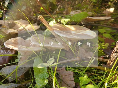 沙县律师事务所