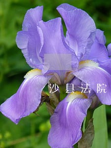 沙县法院一周要闻