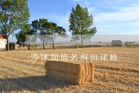沙坪坝债务纠纷律师 沙坪坝债务纠纷律师