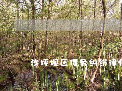 沙坪坝区债务纠纷律师电话 沙坪坝区债务纠纷律师电话